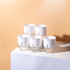 KYARI Combo of 5 White Self-Watering Pots for Indoor Plants