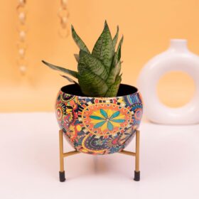 KYARI Radiant Multicolour Metal Pot with Stand