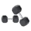 FIRE FITNESS home gym equipment 2.5kg X 2 rubber dummbbelles set for men