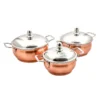 Minar Bronze Stainless Steel Cooking Pot